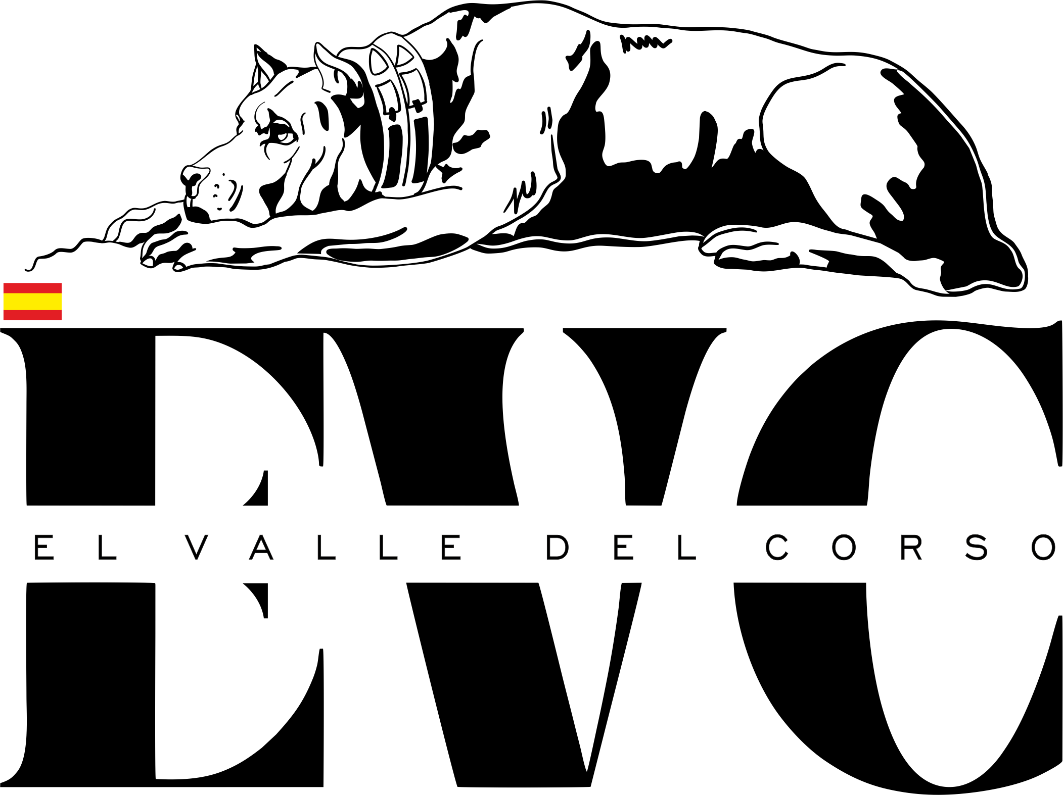 valle del corso 2025 logo
