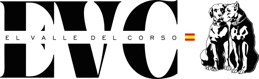 logo valle de corso positivo 3