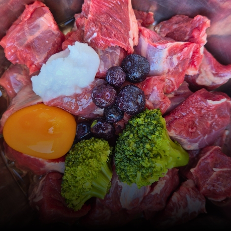 Nutrición nutrición mobile