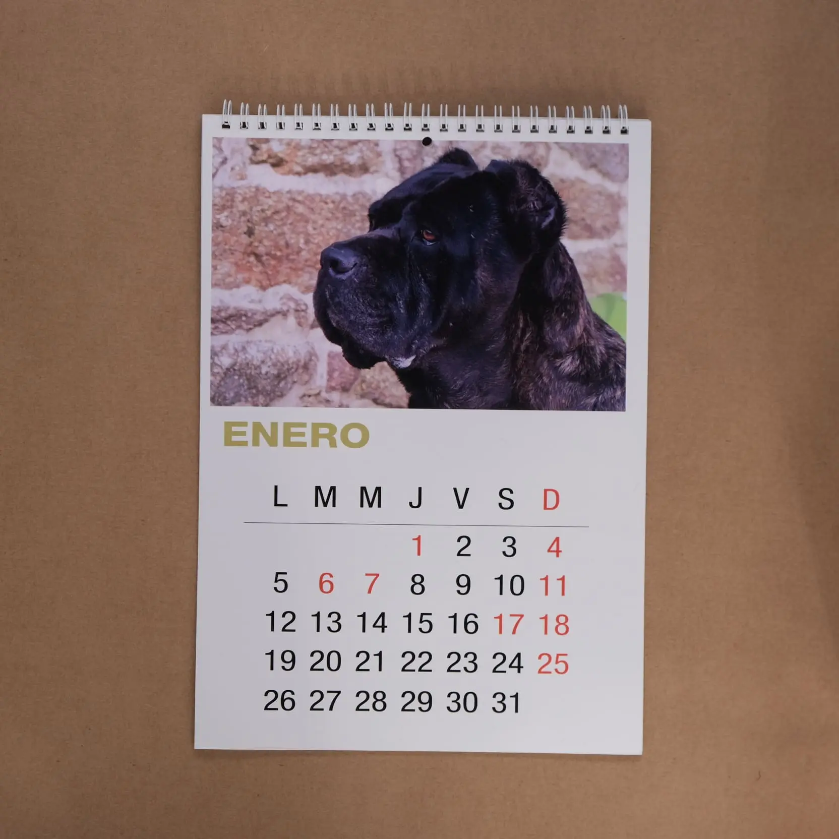 calendario evc 2026 calendario evc 2026