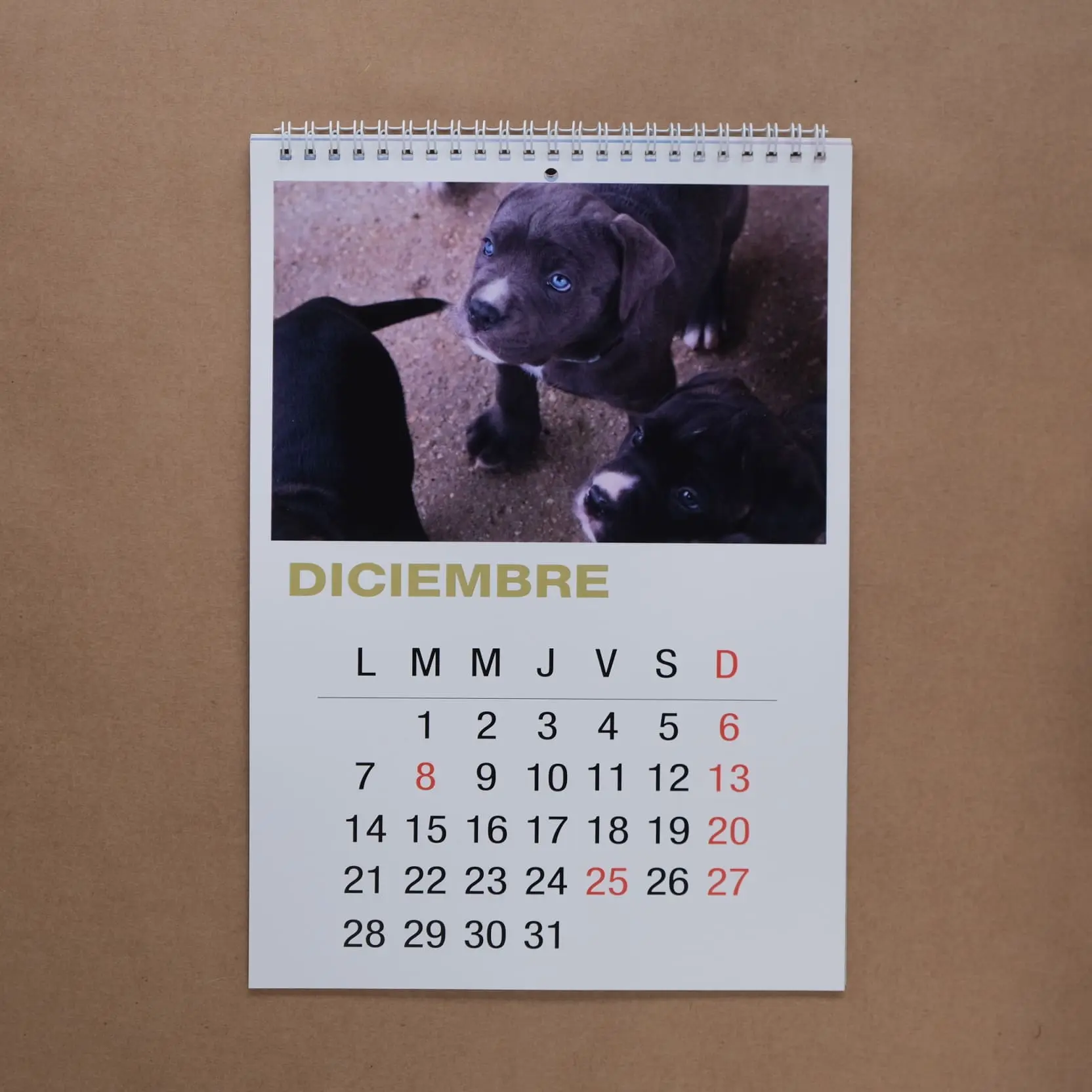 calendario evc 2026 calendario evc 2026